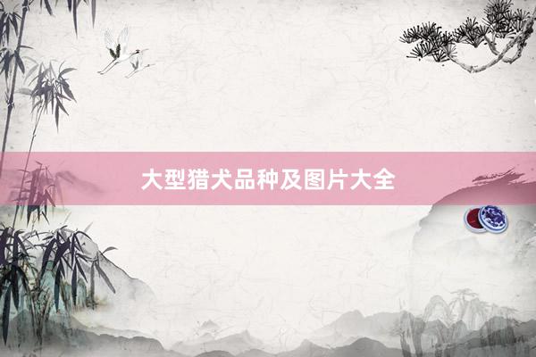 大型猎犬品种及图片大全