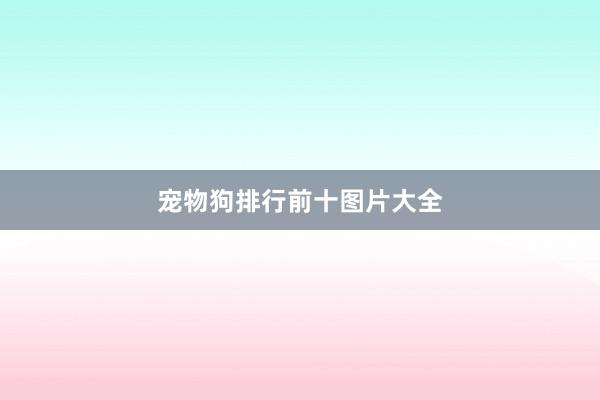宠物狗排行前十图片大全
